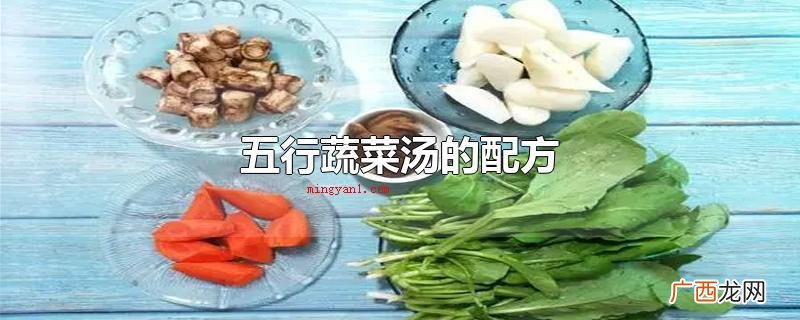 五行蔬菜汤的秘方_健康频道 五行蔬菜汤的配方
