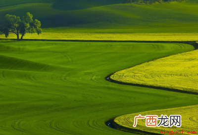 颜色代表的意义
