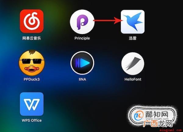 迅雷番号怎么用？