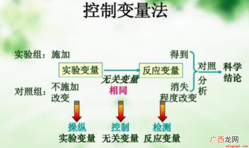 什么是实验法?它有哪些基本要素?