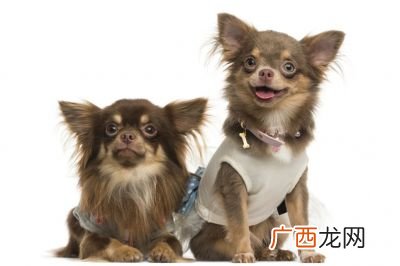 含动物名称的成语15个,含有动物的名称有哪些？