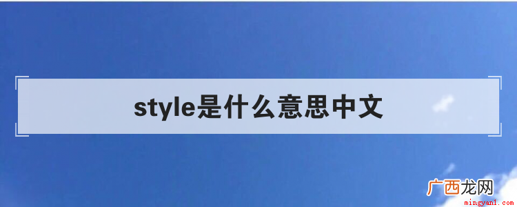 style是什么意思中文