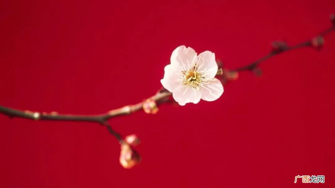 物以终为始人从故得新什么意思,以始为终和终为始的区别?