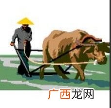 自耕农和佃农的区别,佃农跟自耕农本质上有什么区别？