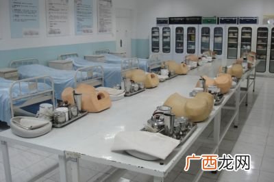 护理程序包括哪些内容,护理程序，名词解释？