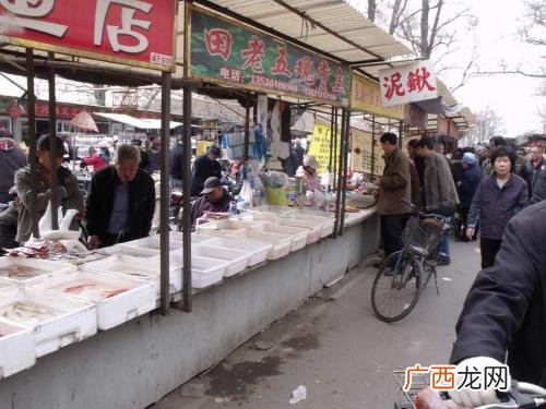 成都花鸟鱼虫市场在哪,成都市的中药材批发市场在哪里？