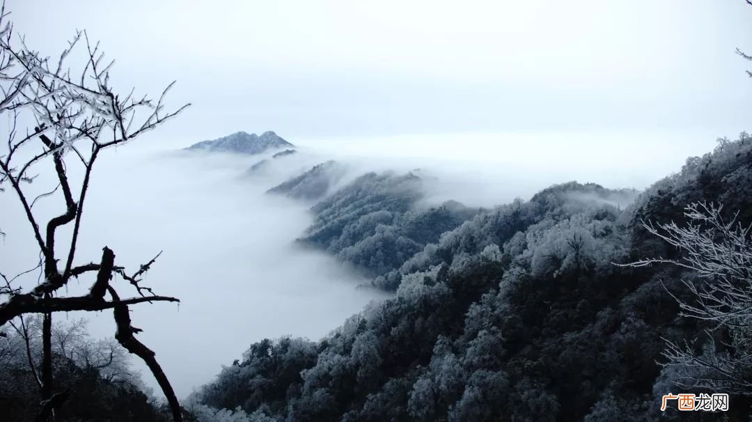 猫儿山海拔,广西猫儿山海拔多少？