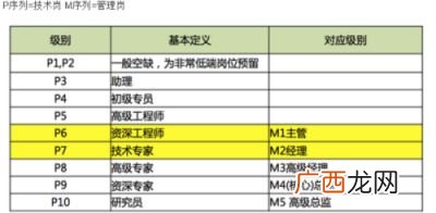 阿里p12是什么级别,p12是什么职位？