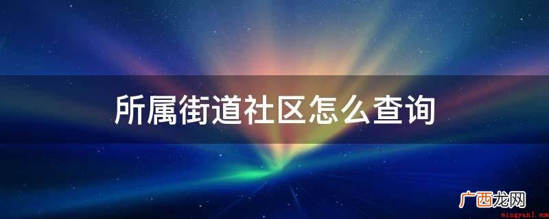 隶属街道社区的如何查询 所属街道社区怎么查询