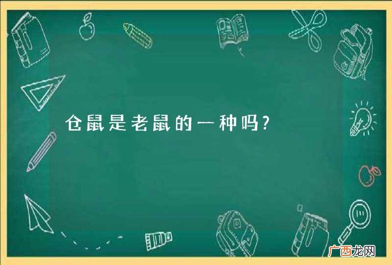 仓鼠是老鼠的一种吗?