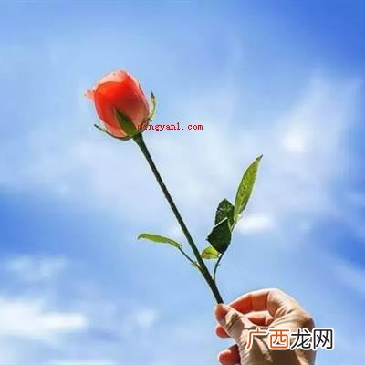 我怕来者不是你 怕无归期怕空欢喜是什么歌名？