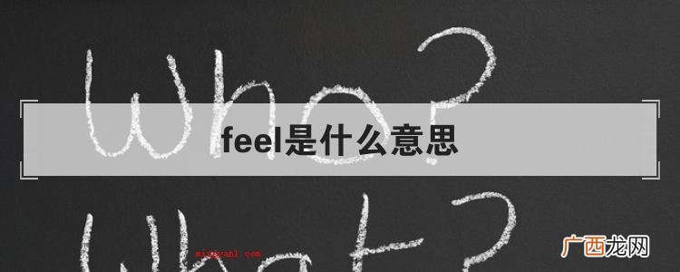 简略回应feel翻译成汉语 feel是什么意思