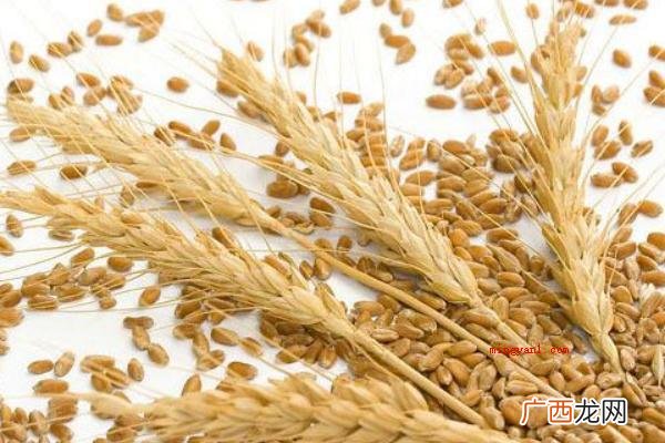 秋季熟透的粮食作物有哪些? 秋天成熟的农作物有哪些？