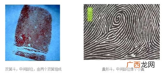 什么是斗形指纹,十个手指两个斗是什么意思？