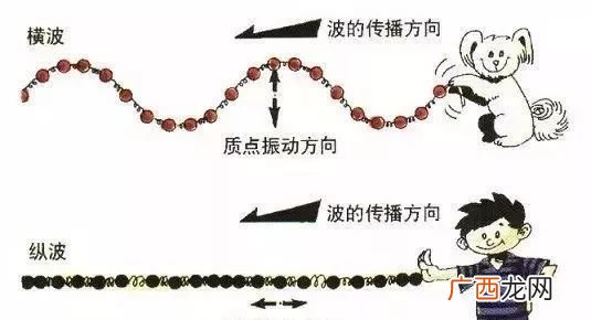 地震横波纵波哪个先到,地震的横波和纵波哪个先到达？哪个衰弱较快？