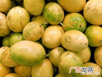 西番莲和百香果的区别,西番莲和百香果的区别？