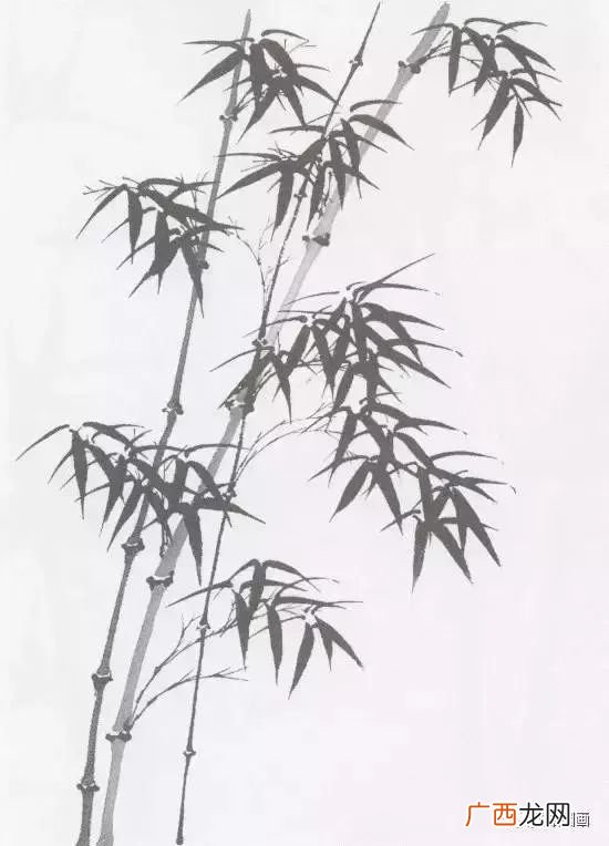 如何画竹子,圆珠笔素描画竹子简单画法？