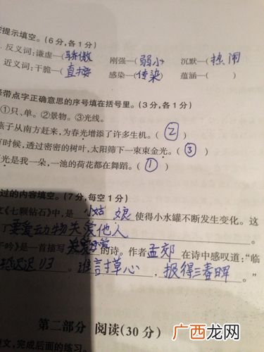 赞赏的近义词是什么,赞赏赞美写几组类似的词语？