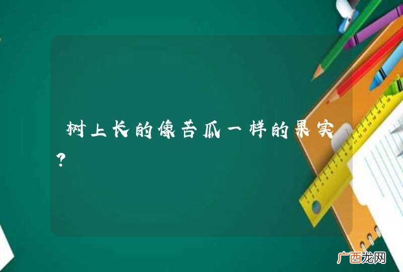 树上长的像苦瓜一样的果实？