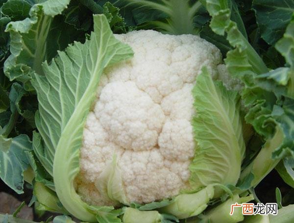 如何正确洗花菜,菜花怎么洗？