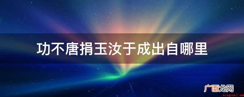 “功不唐捐,玉汝于成”这样的话 功不唐捐玉汝于成出自哪里