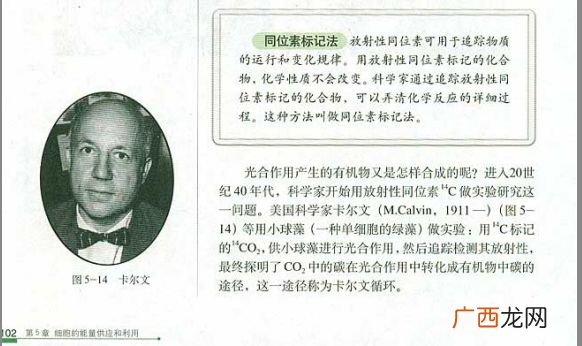 荧光标记法和同位素标记法区别,标记基因的筛选原理?