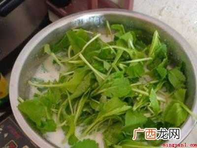 菜豆腐怎么吃