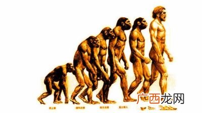 生物进化论是谁写的,达尔文写过的书？