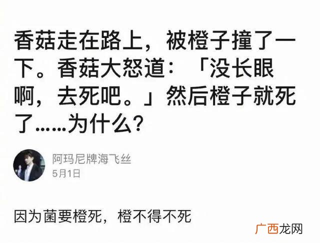 谐音梗是什么意思,谐音梗是否属于汉字新意？
