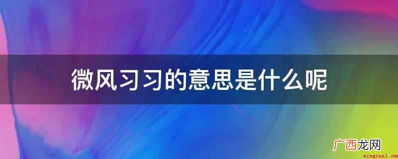 微风拂面释意:比喻微风和熙、迟缓吹开的模样,同义词 微风习习的意思是什么呢