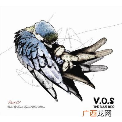 bluebird什么意思啊,轩逸和天籁后面字码有啥区别？