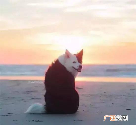 我过我的独木桥是什么意思,放过他也放过自己什么意思