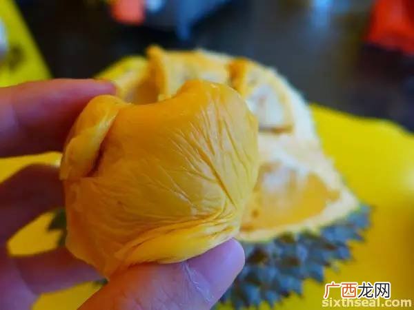 黑刺榴莲和猫山王区别,什么榴莲品种最耐寒？