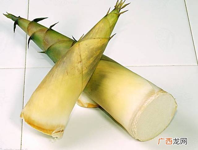 竹笋有毒吗,苦竹有毒吗？