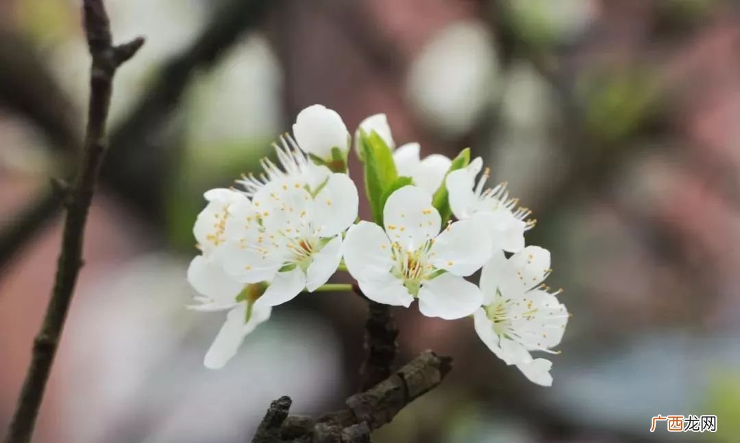 几月是春天,1到4个季度分别是什么季节？