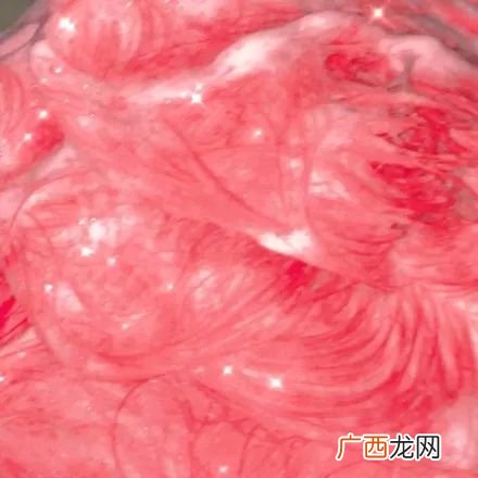 热爱的反义词是什么,“热爱”的近义词是什么？