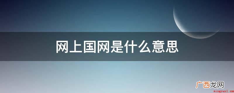在网上国网有限责任公司 网上国网是什么意思