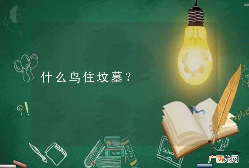 什么鸟住坟墓？