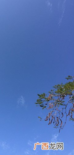 树欲静而风不止是什么意思,风不静而树不止什么意思？