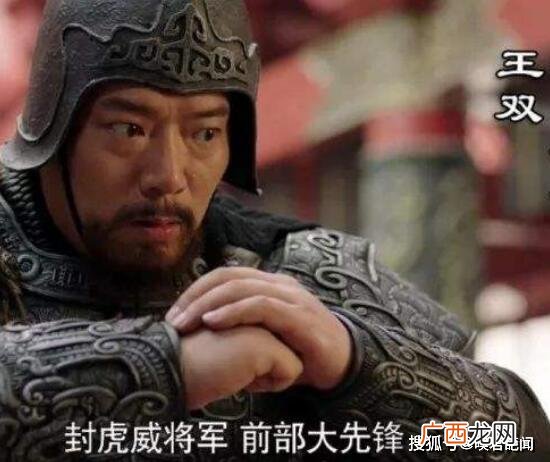 三国演义中王双是怎么死的,三国王双是谁？