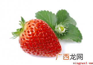 冬天的草莓算反季节水果吗