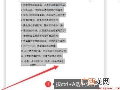 word批量复制多页