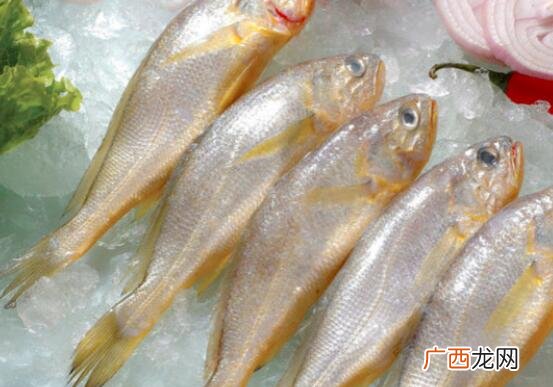 黄花鱼是海鱼吗
