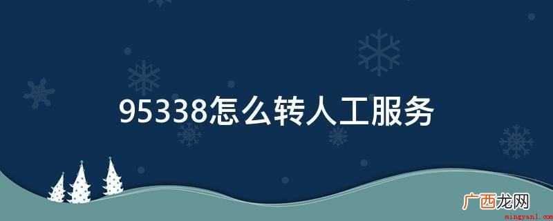 95338转人工服务的方式 95338怎么转人工服务