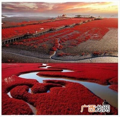 辽宁盘锦红海滩在哪,辽宁省盘锦市红海滩什么季节去最好？