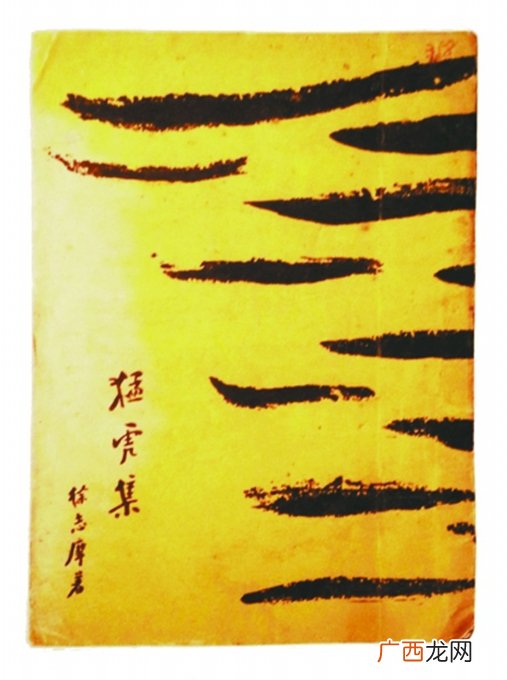 猛虎集的作者是谁,再别康桥出自哪一本书？