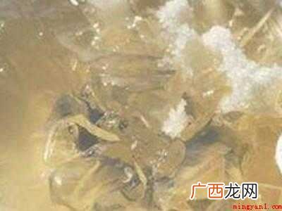 凉粉果子怎么做成凉粉
