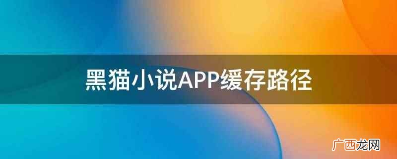 黑猫小说APP没有缓存路径 黑猫小说APP缓存路径
