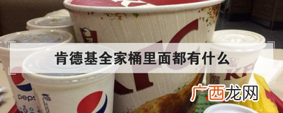 肯德基全家桶包含1瓶1 肯德基全家桶里面都有什么