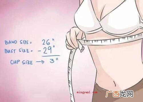 罩杯的墙体则由其深层决策 罩杯abcd怎么计算?